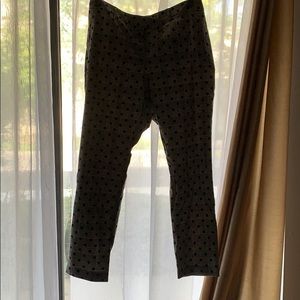 Plaid polka dot Boston proper pants